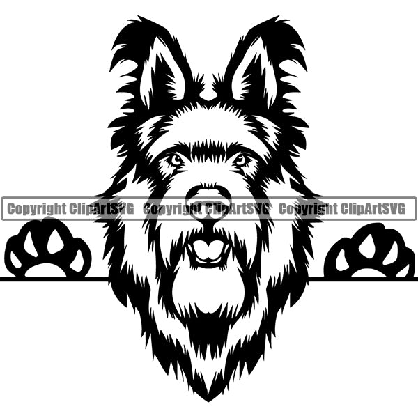 Berger Picard Peeking Dog Breed ClipArt SVG Hot Sale Cheap Pice