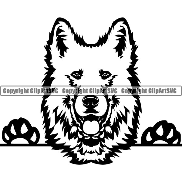 Berger Blanc Suisse Peeking Dog Breed ClipArt SVG Clearance Factory Outlet