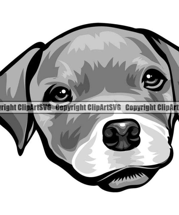 Pit Bull Terrier Dog Breed Head Color ClipArt SVG Pices Cheap Pice