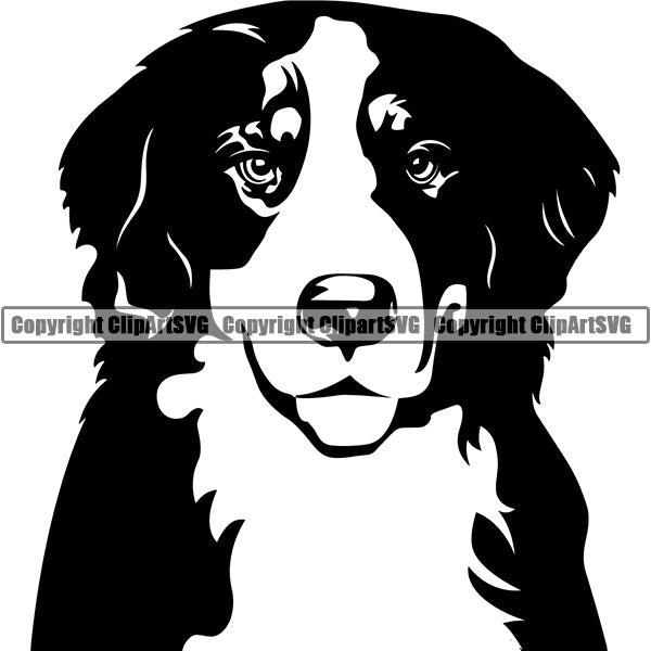 Bernese Mountain Dog Breed Head Face ClipArt SVG Enjoy Online