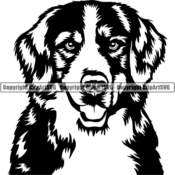 Bernese Mountain Dog Breed Head Face ClipArt SVG Free Shipping Pices