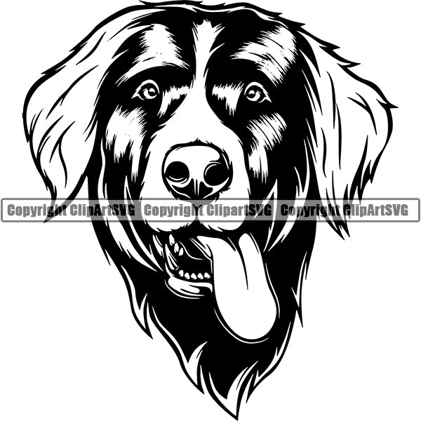 Bernese Mountain Dog Breed Head Face ClipArt SVG Websites Cheap Pice