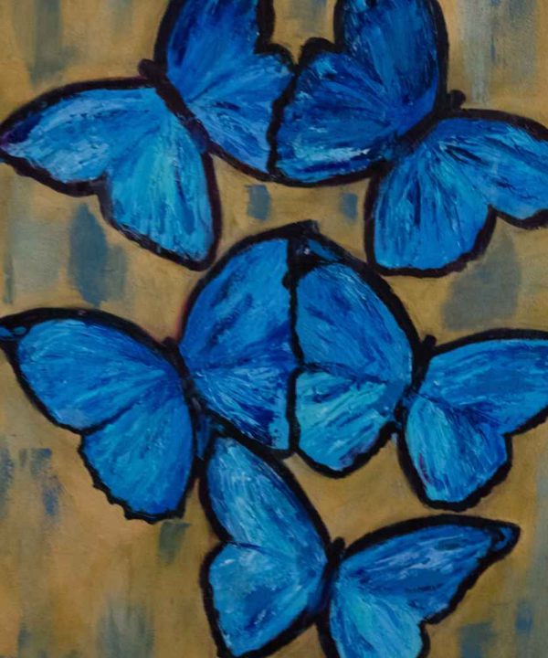 Blue Butterfly Countdown Package