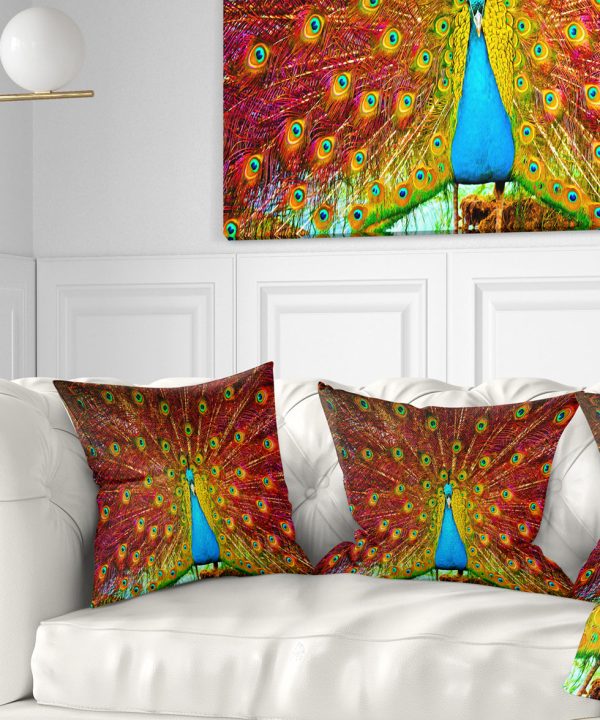 Peacock Dancing - Animal Throw Pillow Sale Wiki