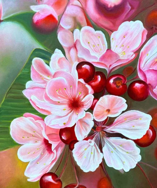 Cherry Blossom Serenade Clearance Very Cheap