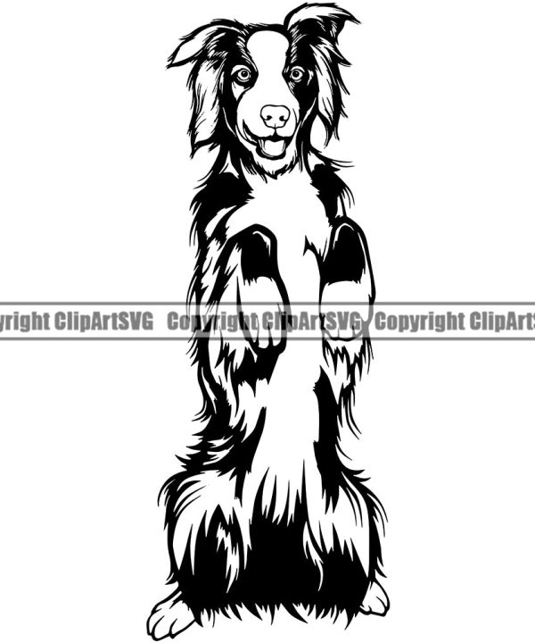 Begging Australian Shepherd Portrait Doggy Face Cute Pup Pedigree Breed Animal Clipart SVG Factory Outlet