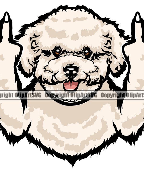 Bichon Frise Cute Dog Middle Finger Animal Face Pup Pedigree Head Doggy Purebred Breed Clipart SVG Low Cost Cheap Pice