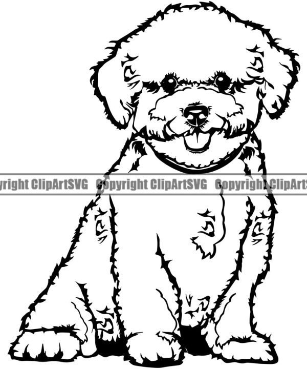 Bichon Frise Sitting Cute Dog Animal Pedigree Head Doggy Purebred Breed Clipart SVG Cheap Sale Latest Collections