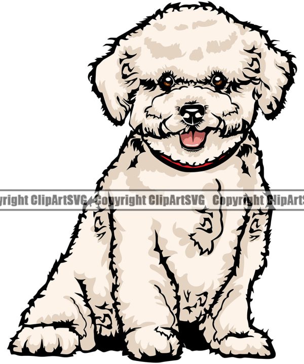 Bichon Frise Cute Dog Sitting Animal Pup Pedigree Head Doggy Purebred Breed Clipart SVG Sale Low Pice Fee Shipping