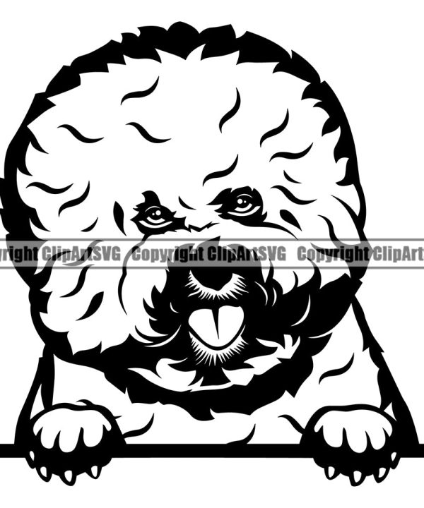 Bichon Frise Dog Face Peeking Breed Pedigree Head Doggy Purebred Clipart SVG Free Shipping 2025 New
