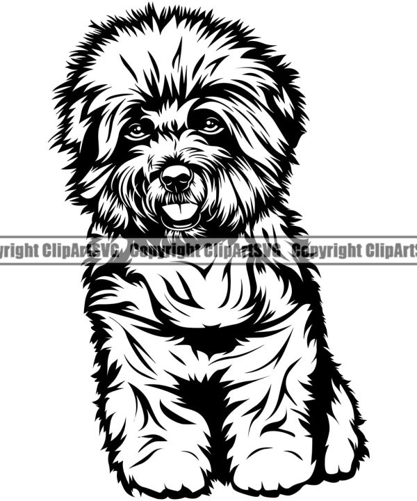 Bichon Frise Sitting Cute Dog Animal Face Doggy Breed Purebred Puppy Pup Clipart SVG Release Dates Cheap Online