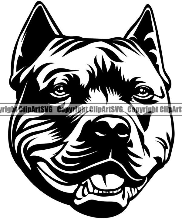 Pit Bull Cute Face Dog Animal Puppy Purebred Pedigree Canine K-9 K9 Portrait Doggy Face Clipart SVG Purchase Cheap Pice