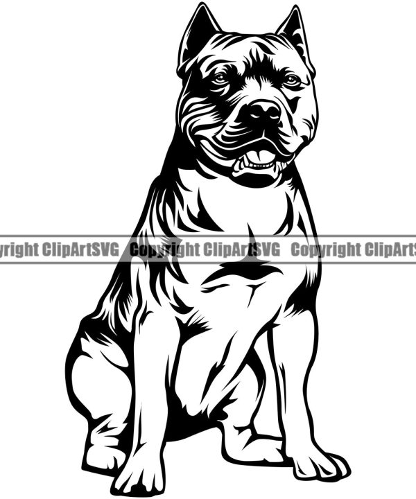 Pit Bull Dog Sitting Position Design  Puppy Pup Head Purebred Pedigree Canine K-9 K9 Animal Portrait Doggy Face Clipart SVG For Nice Cheap Price