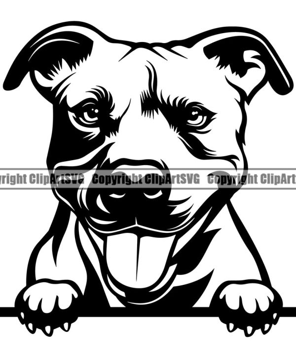 Pit Bull Cute Face Dog Peeking Design Puppy Pup Head Purebred Pedigree Canine K-9 K9 Animal Portrait Doggy Face Clipart SVG Free Shipping Geniue Stockist