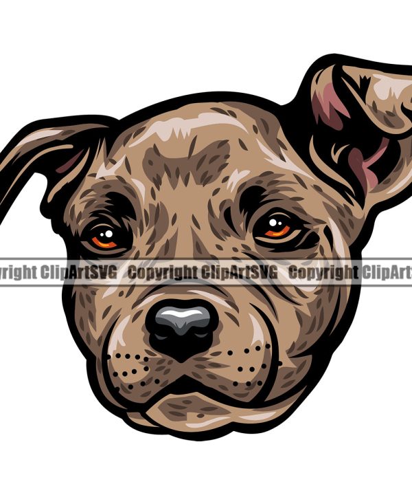 Pit Bull Brindle Color Head Design Element Puppy Pup Head Purebred Pedigree Canine K9 Animal Portrait Doggy Face Vector Clipart SVG Footlocker Finishline Cheap Pice