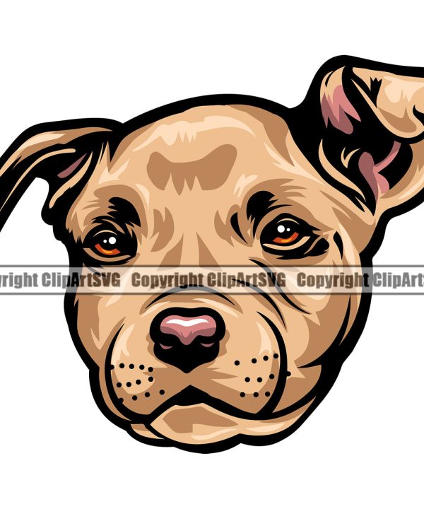 Pit Bull Dog Brown Color Head Design Element Puppy Pup Head Purebred Pedigree Canine K-9 K9 Animal Portrait Doggy Face Clipart SVG Discount From China
