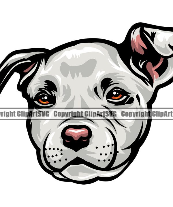 Pit Bull Dog White Color Head Design Element Puppy Pup Head Purebred Pedigree K-9 K9 Animal Doggy Face Vector Clipart SVG Cheap Sale Geniue Stockist