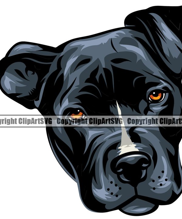Pit Bull Dog Blue Color Head Design Element Puppy Pup Head Purebred Animal Portrait Doggy Face Pedigree Canine K-9 K9 Clipart SVG Quality Free Shipping Low Pice