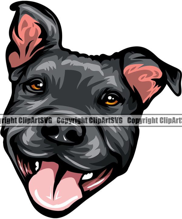 Pit Bull Dog Smile Face Black Color Head Puppy Pup Head Purebred Pedigree Canine K-9 K9 Animal Portrait Doggy Face Vector Clipart SVG Clearance Original