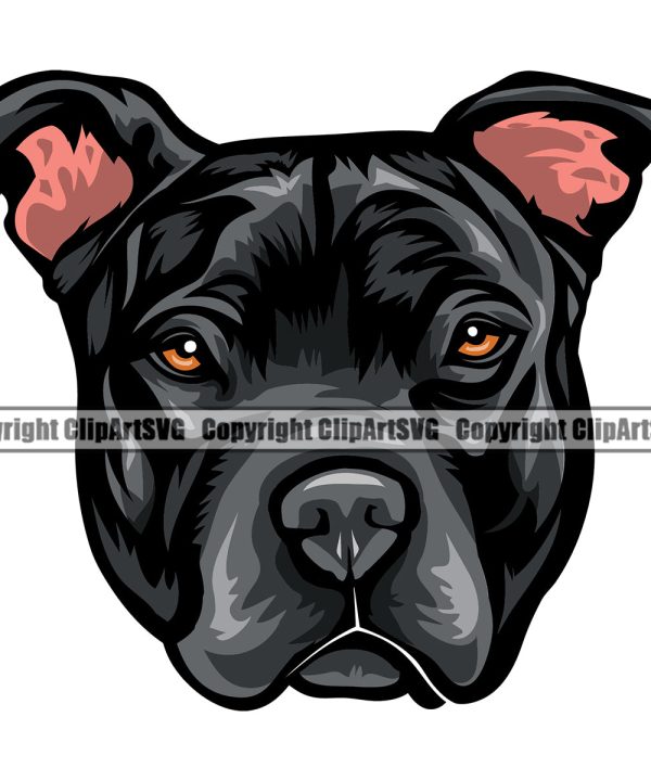 Pit Bull Dog Black Color Head Design Element Puppy Pup Head Purebred Pedigree Canine K-9 K9 Animal Portrait Doggy Face Cute Vector Clipart SVG In China Cheap Online