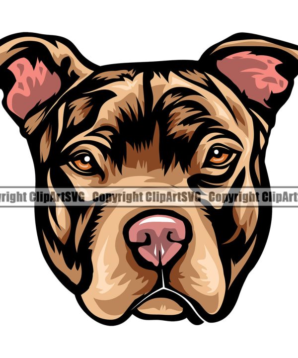 Pit Bull Dog Brown Color Design Puppy Pup Head Purebred Pedigree Canine K-9 K9 Animal Portrait Doggy Face Vector Clipart SVG Buy Cheap Find Great