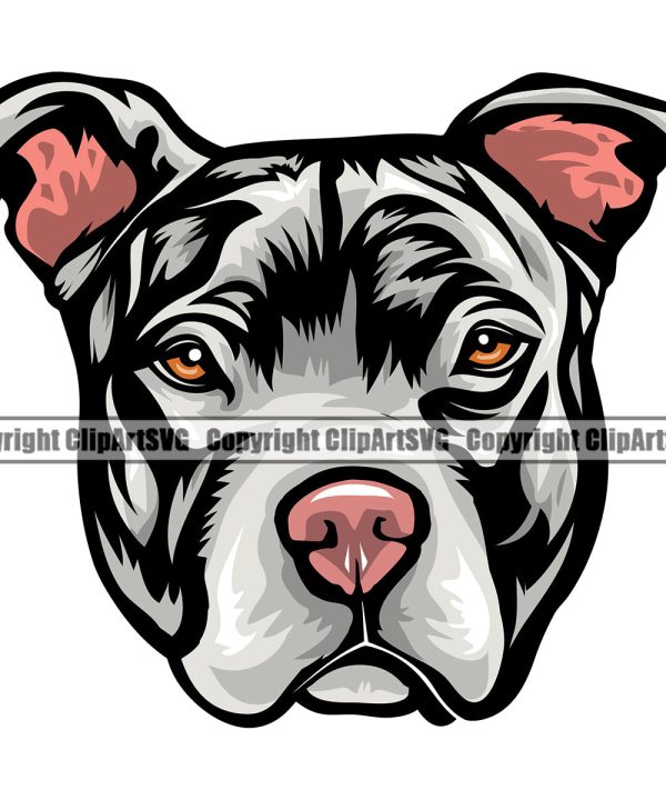 Pit Bull Dog White Color Design Element Puppy Pup Head Purebred Pedigree Canine K-9 K9 Animal Doggy Face Vector Clipart SVG Excellent