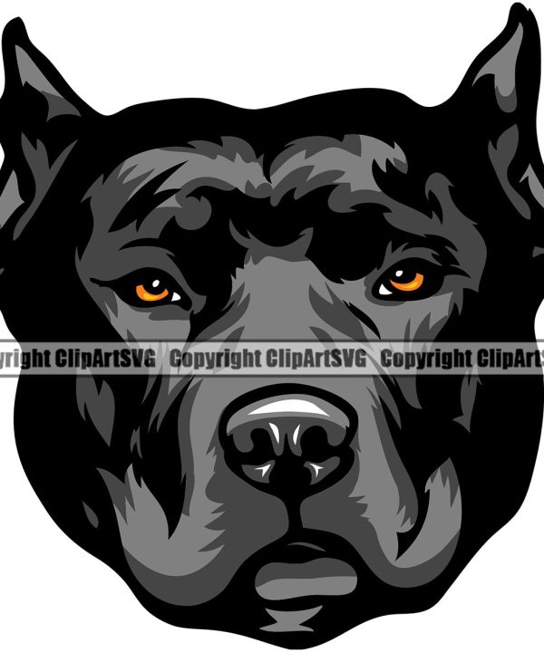 Pit Bull Dog Black Color Design Puppy Pup Head Purebred Pedigree K9 Animal Portrait Doggy Face Cute Clipart SVG Buy Cheap Footlocker Finishline
