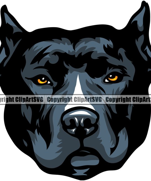 Pit Bull Dog Design Blue Color Head Puppy Pup Head Purebred Pedigree Canine K-9 K9 Animal Portrait Doggy Vector Clipart SVG Cheap With Paypal