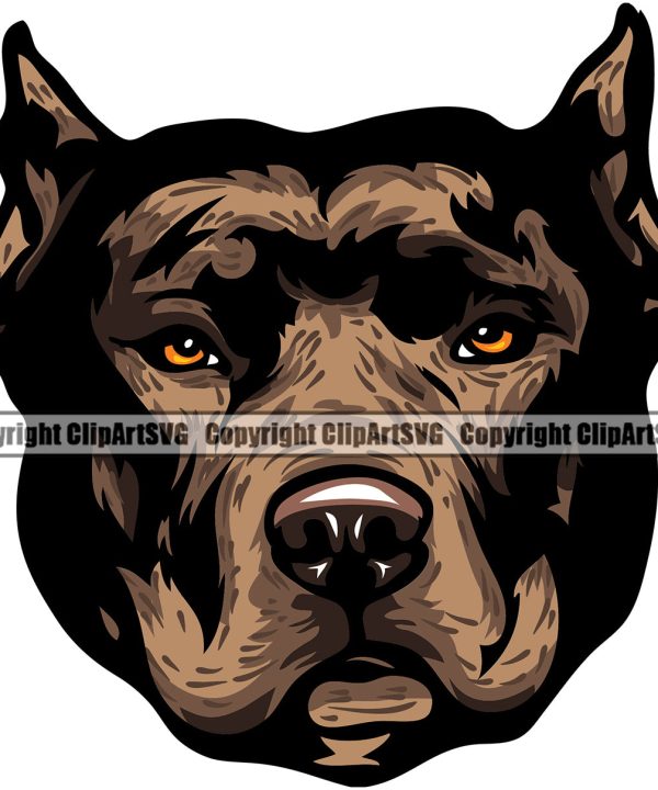 Pit Bull Dog Brindle Color Design Puppy Pup Head Purebred Pedigree Canine K-9 K9 Animal Portrait Doggy Face Cute Clipart SVG Buy Cheap Affordable