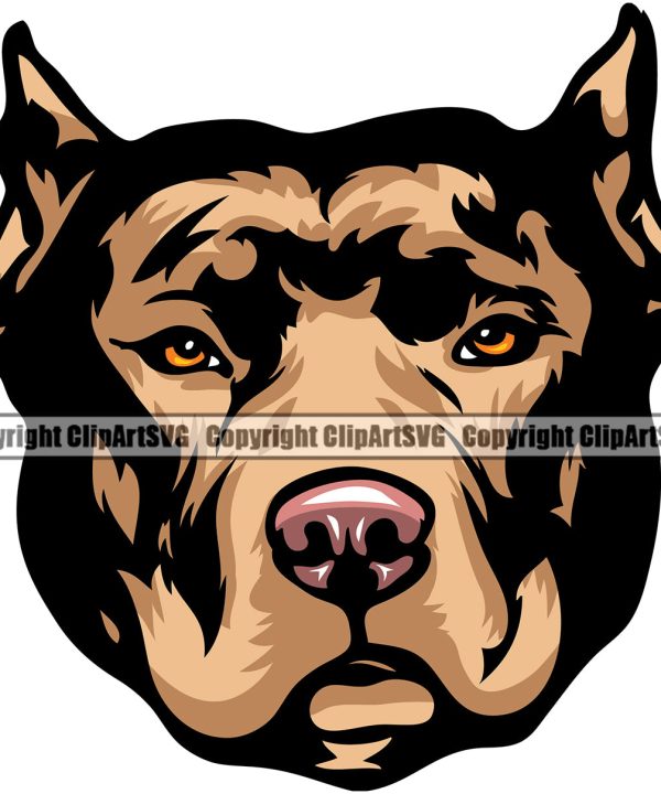 Pit Bull Dog Brown Color Design Element Puppy Pup Head Purebred Pedigree Canine K-9 K9 Animal Portrait Doggy Face Vector Clipart SVG Free Shipping Fast Delivery
