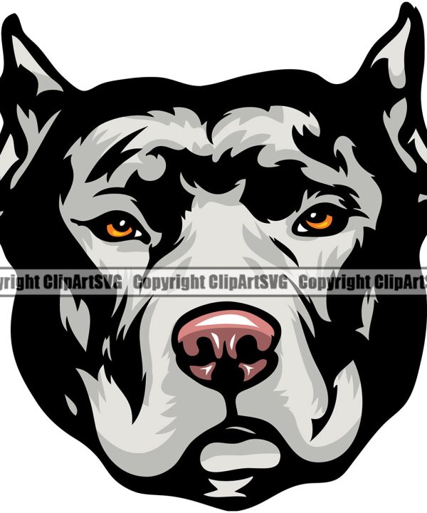 Pit Bull Dog White Color Design Puppy Pup Head Purebred Pedigree Canine K-9 K9 Animal Portrait Doggy Face Cute Body Vector Clipart SVG Free Shipping Cheap