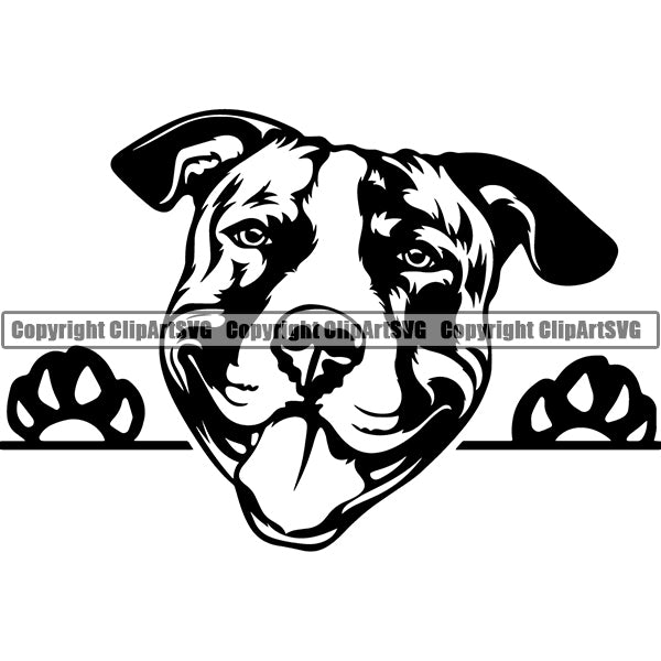 Pit Bull Dog Peeking Design Element Puppy Pup Head Purebred Pedigree Canine K-9 K9 Animal Portrait Doggy Face Cute Body Vector Clipart SVG Outlet Deals