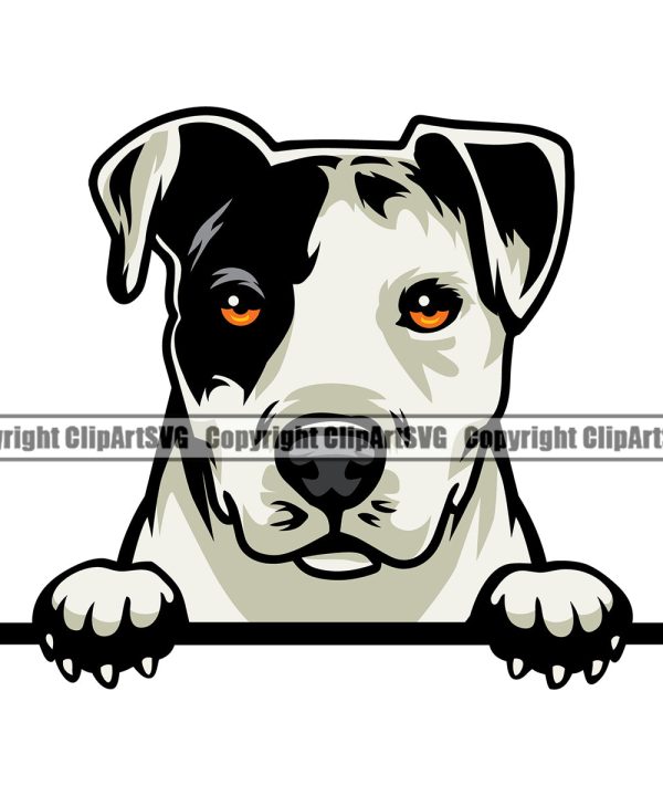 Pit Bull Dog Peeking Design Color Head Animal Puppy Pup Head Purebred Pedigree Canine K-9 K9 Animal Portrait Doggy Vector Clipart SVG Cheap Sale Choice