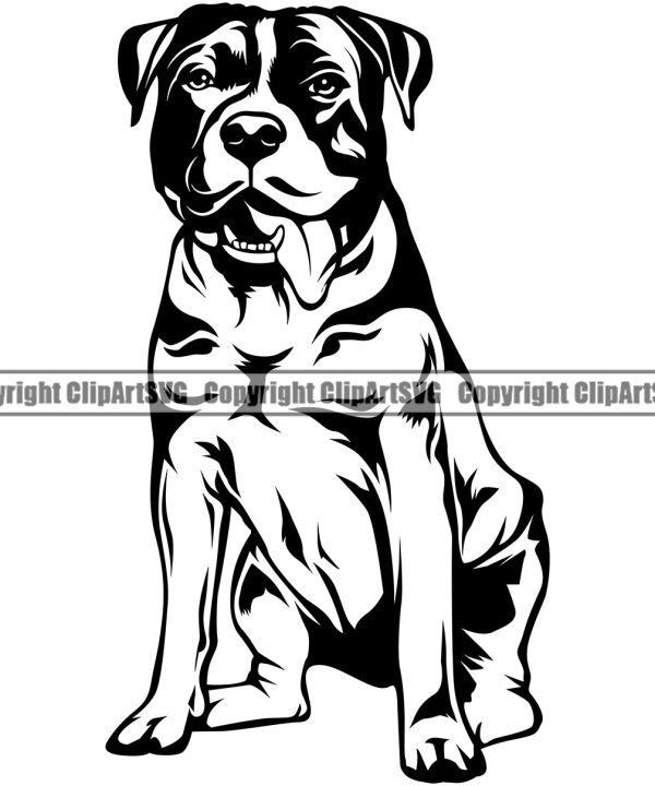 Pit Bull Dog Sitting Design Animal Position Puppy Pup Head Purebred Pedigree Canine K-9 K9 Animal Portrait Doggy Face Body Clipart SVG Cheap Sale Exclusive