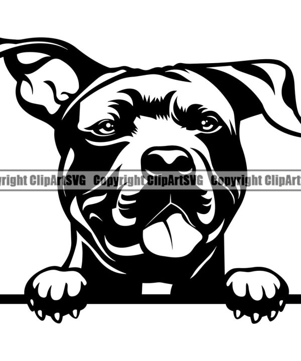 Pit Bull Dog Design Peeking Position Puppy Pup Head Purebred Doggy Canine K-9 K9 Animal Portrait Face Vector Pedigree Clipart SVG Sale Free Shipping