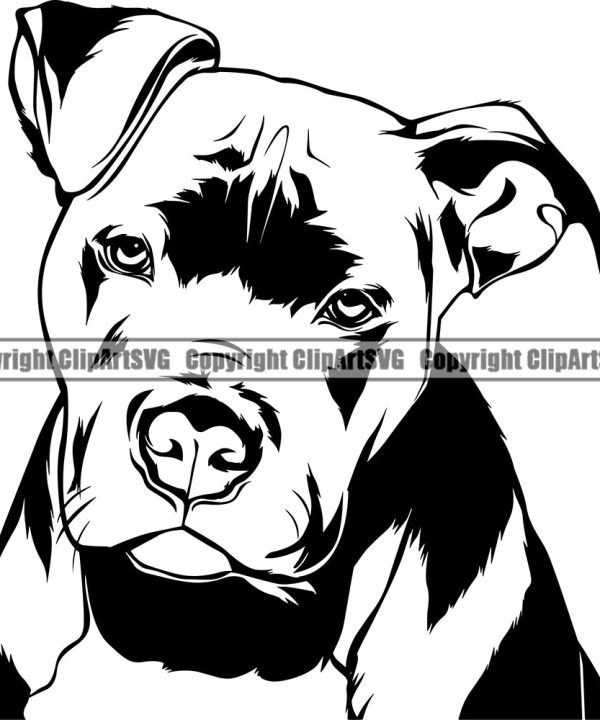 Pit Bull Dog Sad Face Design Element Puppy Pup Head Purebred Pedigree Canine K-9 K9 Animal Portrait Doggy Face Cute Vector Clipart SVG Cheap Comfortable