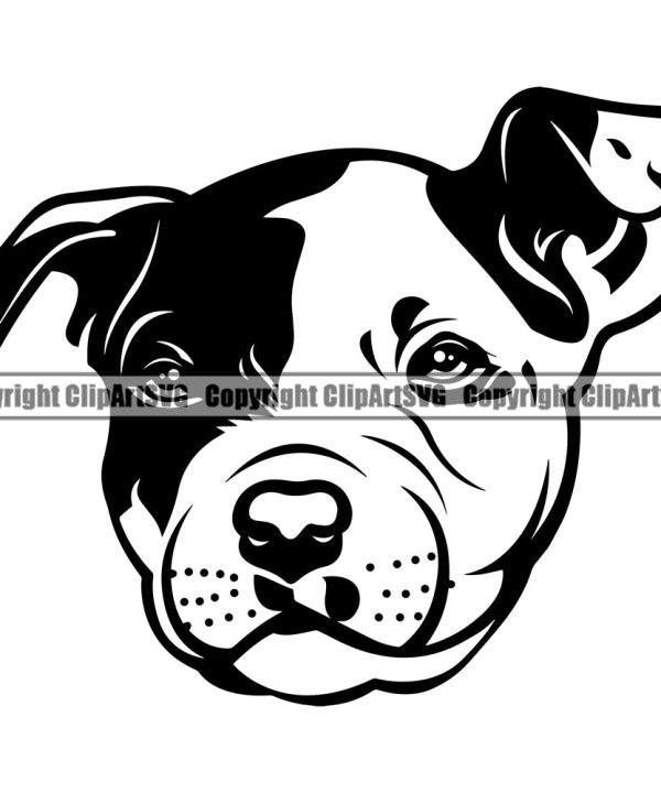 Pit Bull Dog Head Design Element Puppy Pup Head Purebred Pedigree Canine K-9 K9 Animal Portrait Doggy Face Cute Body Vector Clipart SVG Latest Collections Sale Online