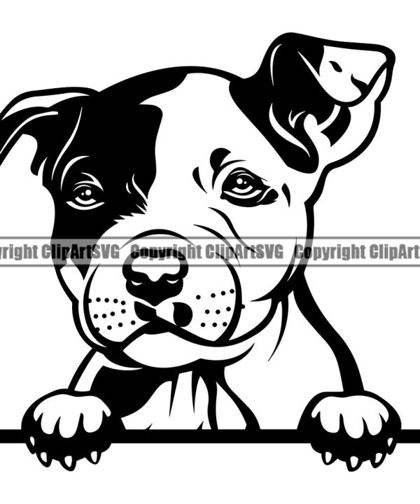 Pit Bull Dog Peeking Design Element Puppy Pup Head Purebred Pedigree Canine K-9 K9 Animal Portrait Doggy Face Cute Body Clipart SVG Discount Professional