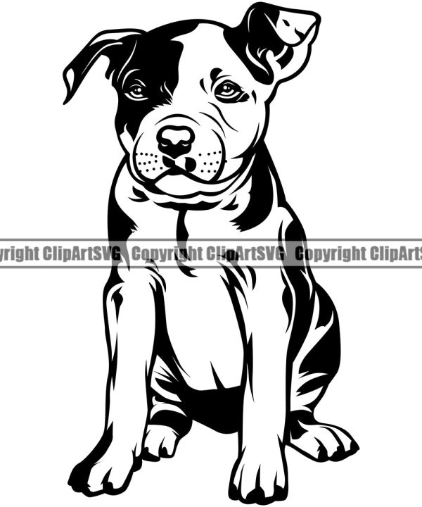 Pit Bull Dog Sitting Design Element Puppy Pup Head Purebred Pedigree Canine K-9 K9 Animal Portrait Doggy Face Cute Body Vector Clipart SVG Discount Low Shipping Fee
