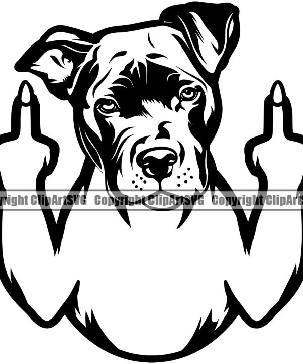 Pit Bull Dog Middle Finger Design Head Face Puppy Pup Purebred Pedigree Canine K-9 K9 Animal Portrait Doggy Vector Clipart SVG Genuine For Sale