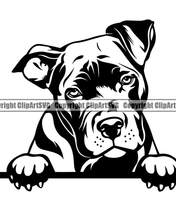 Pit Bull Dog Peeking Design Element Puppy Pup Head Purebred Pedigree Canine K-9 K9 Animal Portrait Doggy Face Cute Clipart SVG Discount Footaction