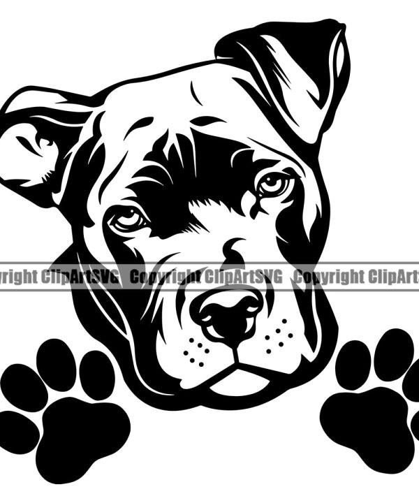 Pit Bull Dog Peeking Desing Element Cute Dog Head Puppy Pup Purebred Pedigree Canine K-9 K9 Animal Portrait Doggy Face Body Clipart SVG Cheap Sale 2025
