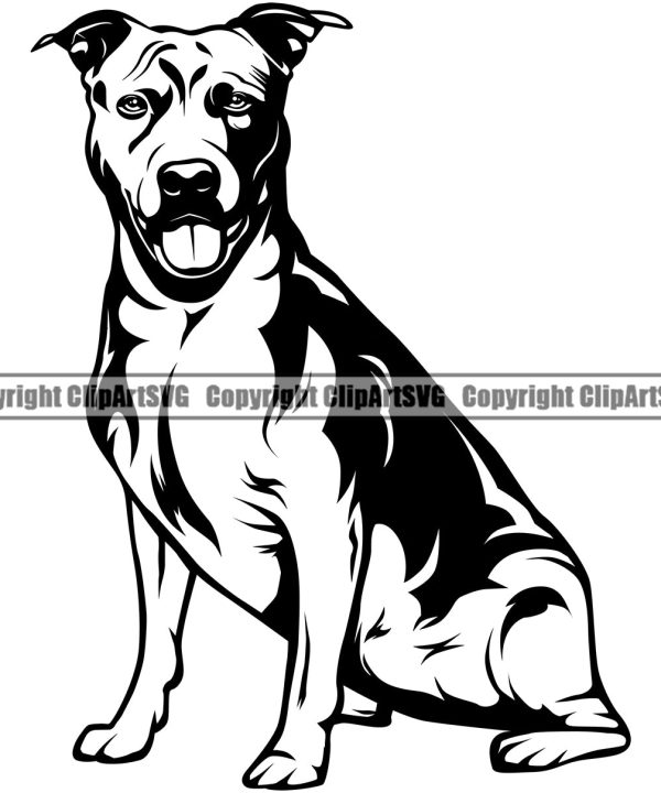 Pit Bull Dog Sitting Design Element Puppy Pup Head Purebred Pedigree Canine K-9 K9 Animal Portrait Doggy Face Cute Body Vector Clipart SVG Discount Newest
