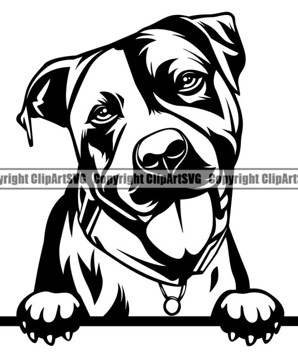 Pit Bull Dog Peeking Design Element Vector Head Purebred Pedigree Canine K-9 K9 Animal Portrait Doggy Face Cute Body Clipart SVG Low Pice Fee Shipping Sale Online