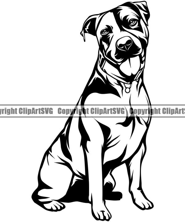 Pit Bull Dog Sitting Position Design Element Head Purebred Pedigree Canine K-9 K9 Animal Portrait Doggy Face Cute Body Vector Clipart SVG Cheap Wide Range Of