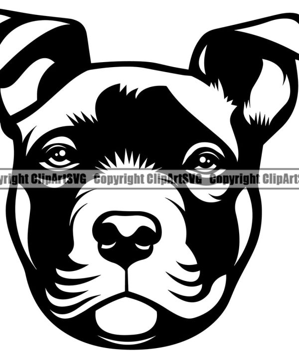 Pit Bull Dog Design Element Head Looking Head Pedigree Canine K-9 K9 Animal Portrait Doggy Face Cute Body Purebred Clipart SVG Clearance Pick A Best