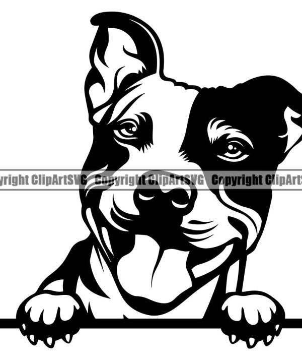 Pit Bull Dog Peeking Position Smile Happy Face Design Element Puppy Pup Head Purebred Pedigree Canine K-9 K9 Animal Portrait Doggy Vector Clipart SVG Cheap Sale Really