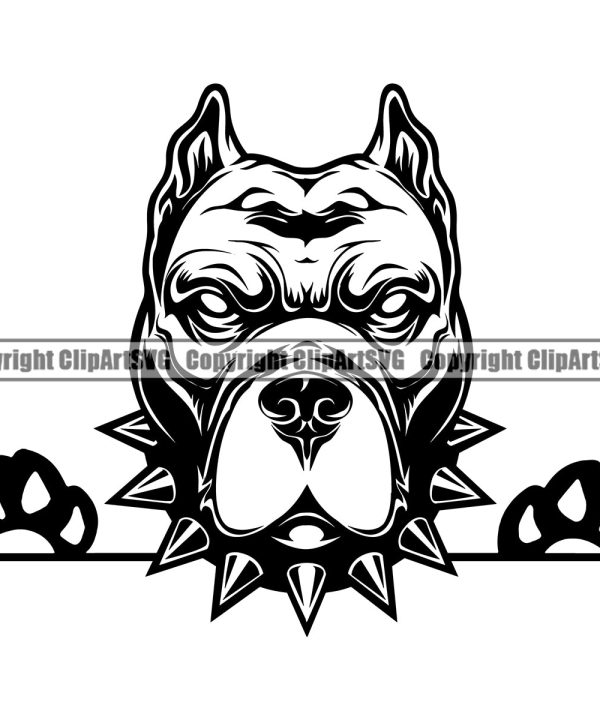 Pit Bull Dog Peeking Design Collar Head Puppy Pup Head Canine K-9 K9 Animal Portrait Doggy Face Cute Pedigree Purebred Vector Clipart SVG For Nice Cheap Price