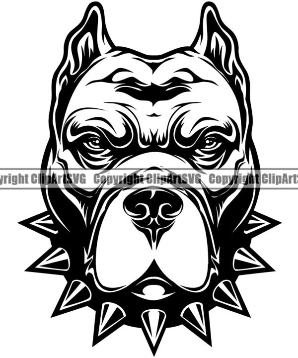 Pit Bull Dog With Collar Design Mascot Head Puppy Pup Head Purebred Pedigree Canine K-9 K9 Portrait Doggy Face Cute Animal Vector Clipart SVG Buy Cheap Explore
