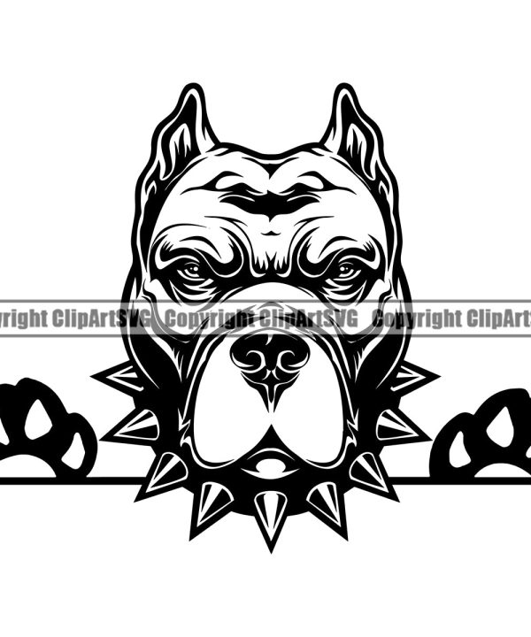 Pit Bull Dog With Collar Mascot Design Element Peeking Position Puppy Pup Head Purebred Pedigree Canine K-9 K9 Portrait Doggy Face Cute Animal Clipart SVG Sale Pick A Best
